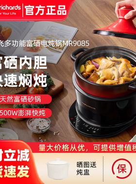 摩飞电炖锅塔吉锅多功能富硒砂锅