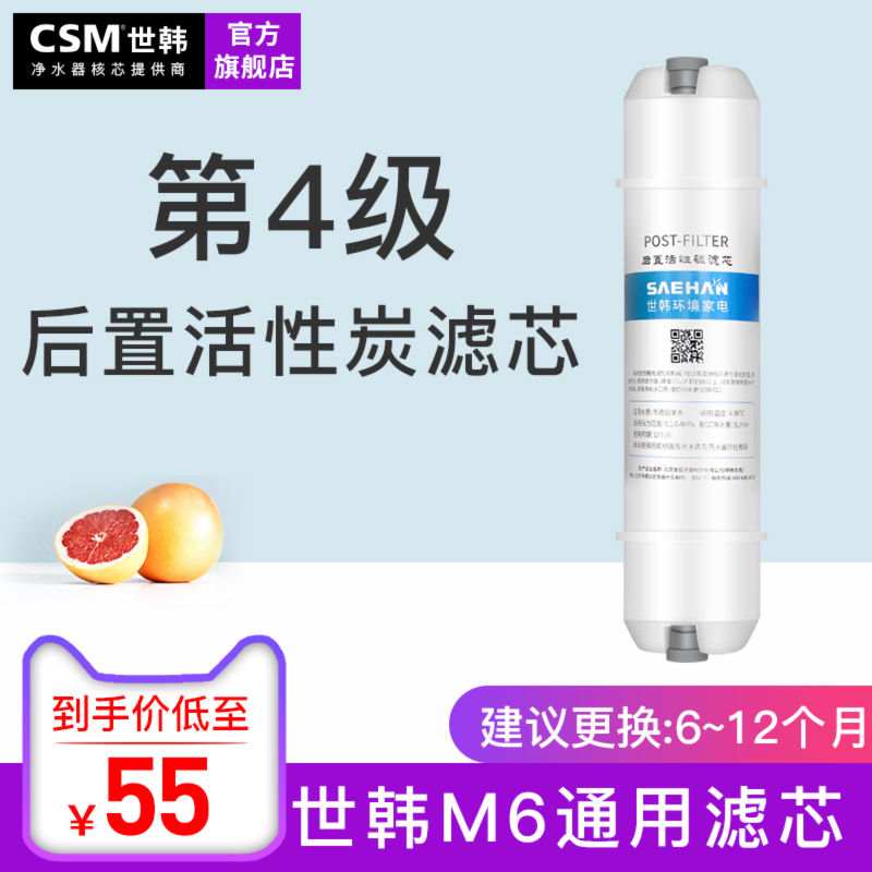 世韩T33后置活性炭滤芯