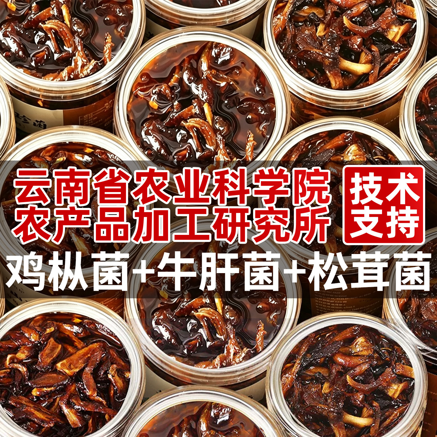 油鸡枞菌牛肝菌松茸菌云南特产油炸山珍菌蘑菇酱拌饭拌面酱下饭菜