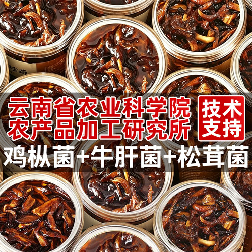 云南特产油鸡枞牛肝菌松茸菌