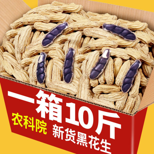 滇脉黑花生云南特产黑皮颗粒饱满