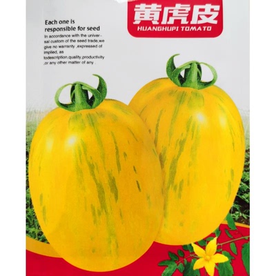 番茄种子：黄虎皮番茄种子