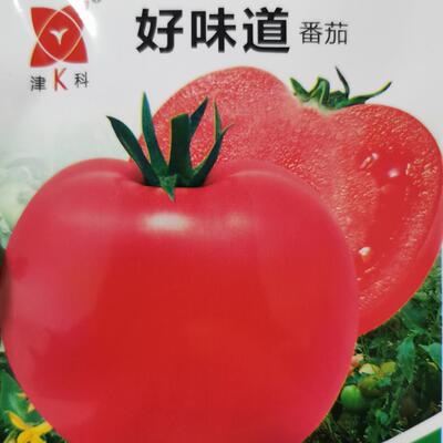 沙瓤甜西红柿种子（薄皮沙瓤甜柿子）