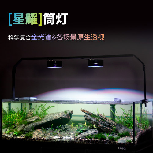 睿美心造全光谱防炫目鱼缸筒灯