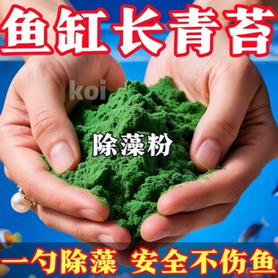 鱼池除藻粉去苔除藻鱼缸酵素清水剂去除绿水褐藻丝专用安全不伤鱼