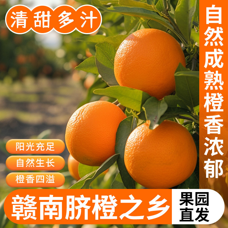 正宗赣南脐橙新鲜橙子原产地直发10斤精品果新鲜现发水果送礼整箱,水产肉类/新鲜蔬果/熟食,橙,淘宝优惠券,粉丝福利购,淘宝优惠卷