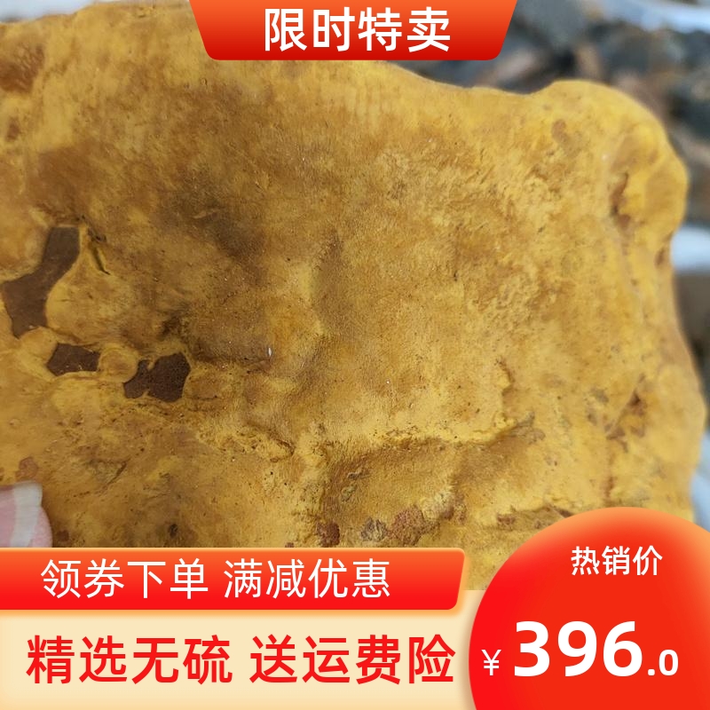 【65+年份】西藏直发正品野生桑黄灵芝林芝桑黄500克一斤礼盒装