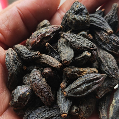 藏青果西青果500克包邮中药材