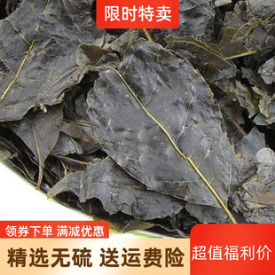 苦丁茶500克防脱升发乌发洗白发可搭配侧柏叶桑叶洗发大叶苦丁茶