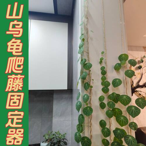 山乌龟爬藤架绿植物室内专用线网格麻绳手工diy盆栽造型固定牵引