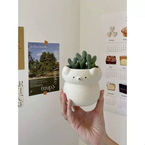 植物私生活 宠物系萌系可爱风趣味迷你仙人掌多肉桌面绿植小盆栽