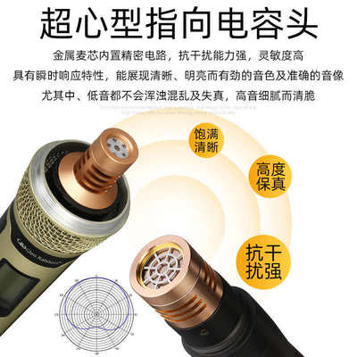 Glen ralston/格伦士顿无线话筒一拖二电容麦克风演出家用ktv会议