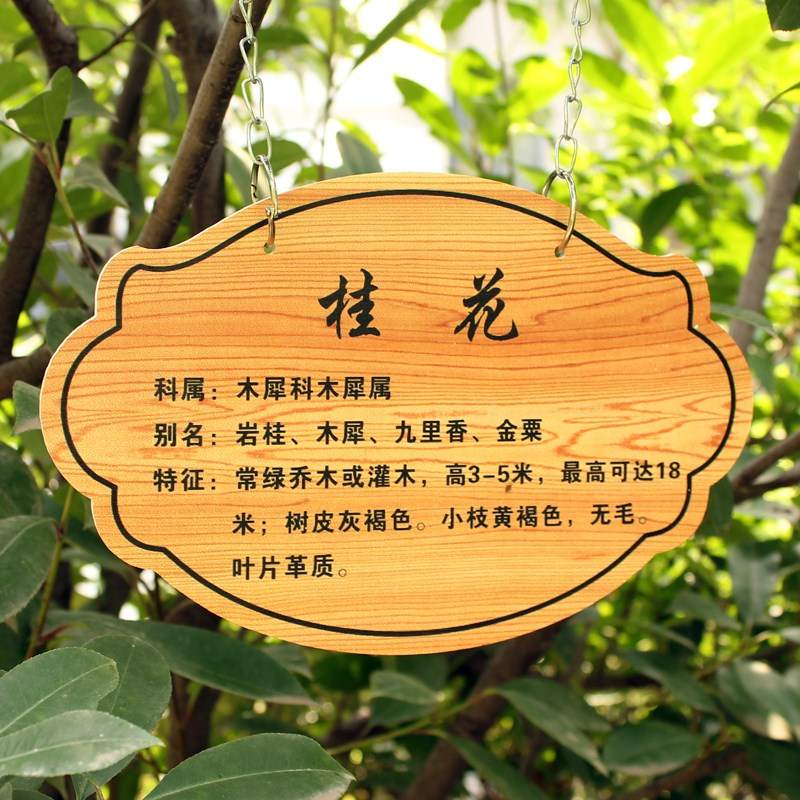 定制做pvc亚克力树牌植物认养介绍名铭花草牌园林绿化标识广告