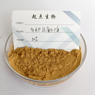 白耙齿菌多糖30%50% 白耙齿真菌提取物浓缩精华原料粉 赠送量勺