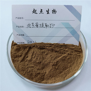 正品肉苁蓉提取物 松果菊苷浓缩粉 肉苁蓉精华粉袋装 赠送量勺