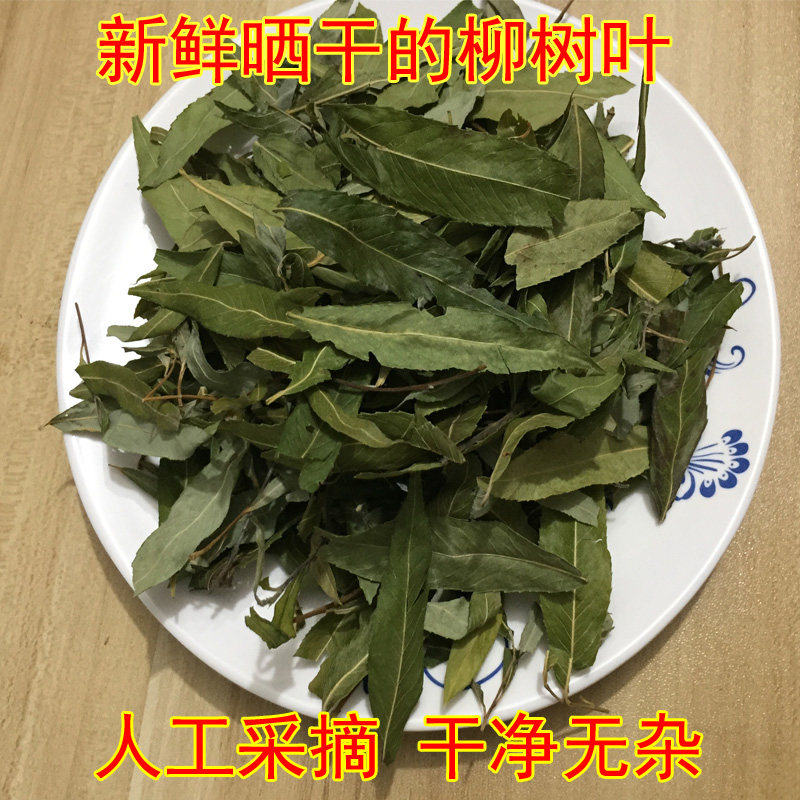 柳树叶现摘新鲜嫩柳叶干柳絮柳树叶清明前柳芽茶干柳叶农家自晒