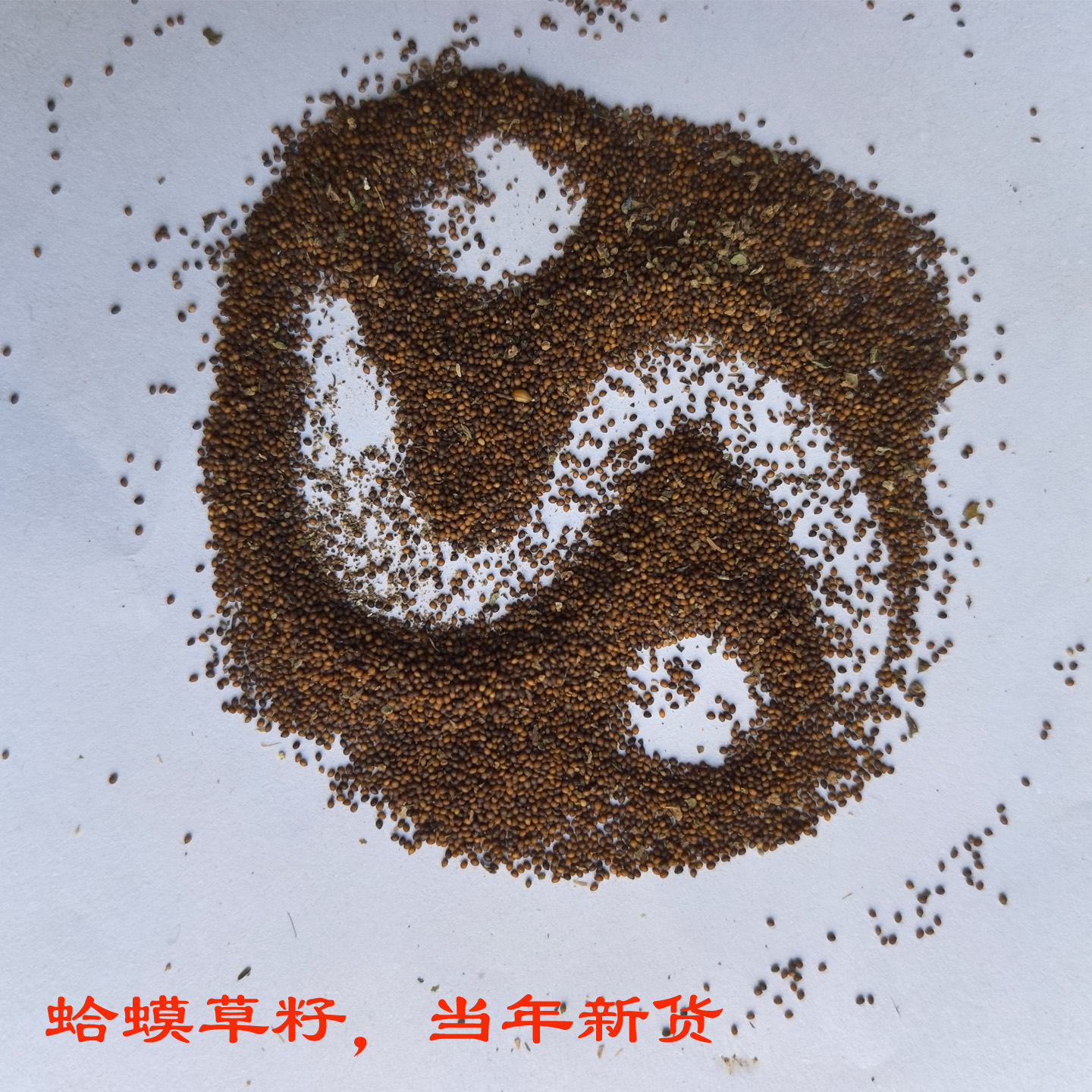 野菜种子易种野生蛤蟆草蔬菜种子