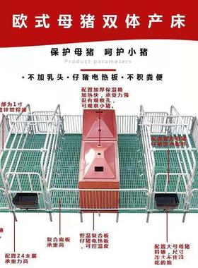 复合双体母猪产床加厚镀锌钢管保育床分娩产保两用一体母猪产床