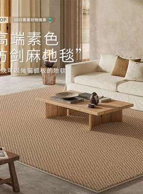 仿剑麻地毯客厅5新轻奢高级免洗可擦防水简约茶几卧室地垫