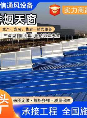 厂房屋面通风器C2T一字型电动采光排烟天窗大型民用建筑排烟天窗