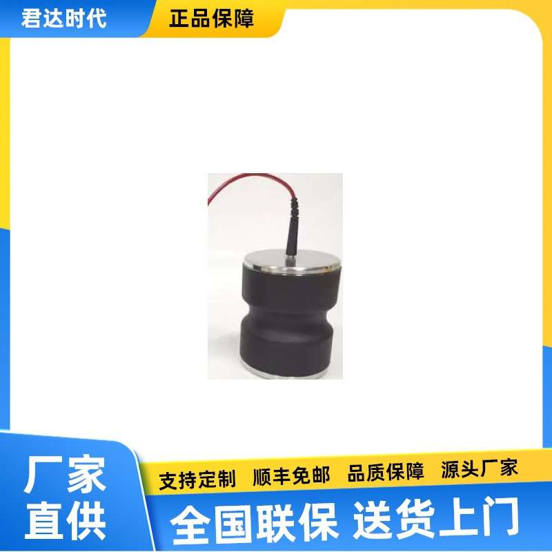 RES01标准重锤单点电极