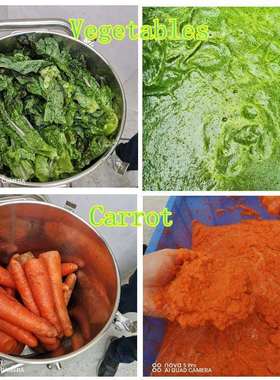 打浆机商用店铺用菠菜芹菜打泥浆机做蔬菜粉条面条打浆泥机