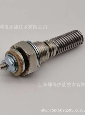 贝鲁（BERU）预热塞GH408-E6918915335A1火花塞 电热塞