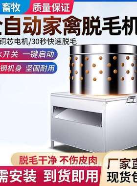 家用全自动杀鸡拔毛家禽机脱毛机打毛机不锈钢小型大型鹅鸡鸭