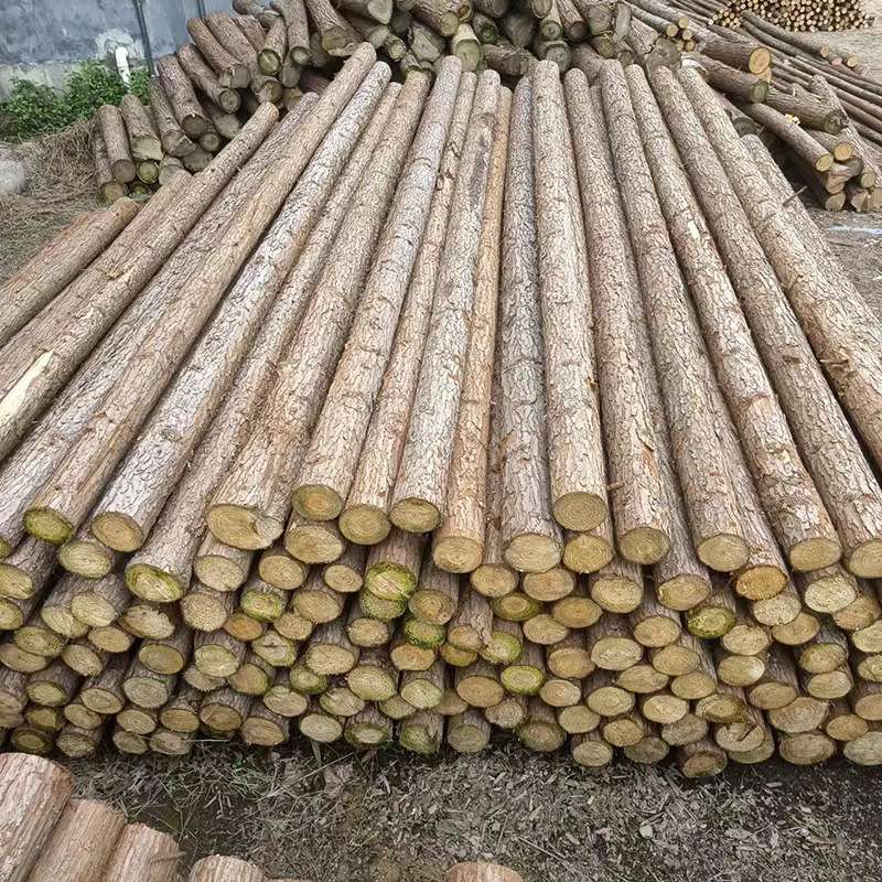 4米杉木桩打桩木原木防汛木桩 园林绿化支撑杆 3米杉木杆直销