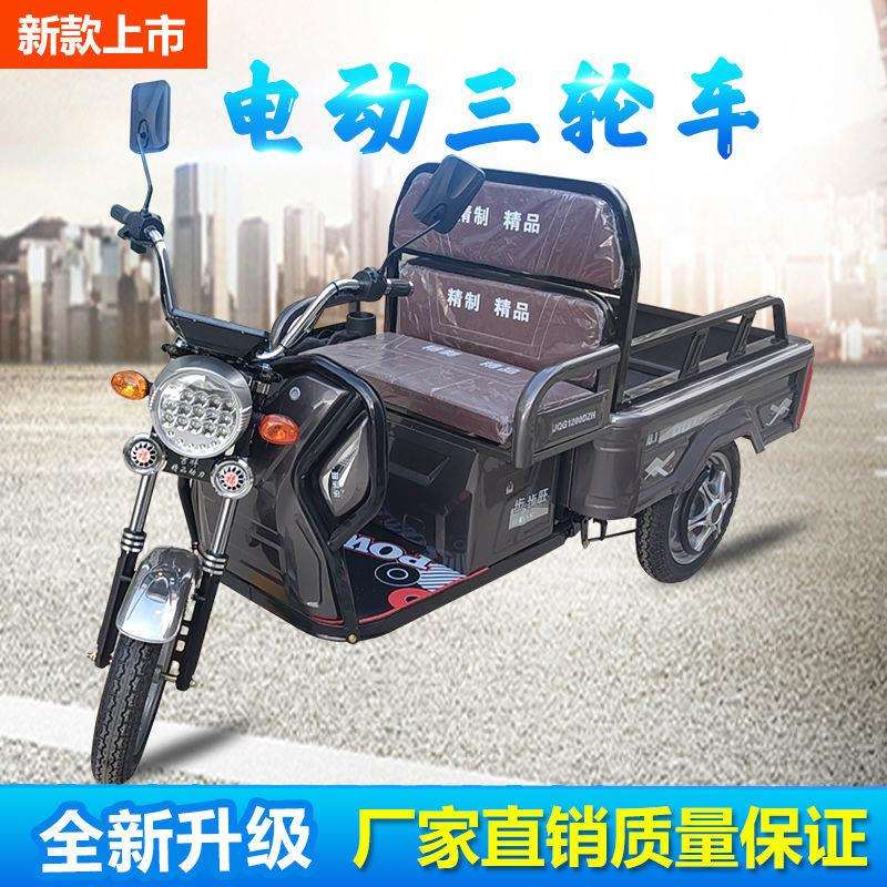 电动三轮车成人小型老人迷你接送孩子货车拉货新款老年代步车三轮