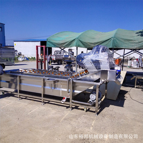 油菜除尘喷淋清洗机 果蔬打浆榨汁配套输送清洗设备 裕邦出售