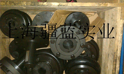 现货马丁F70-RX25-140弹性联轴器