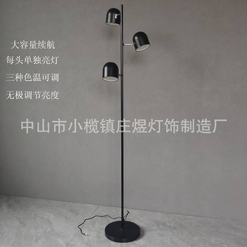 道远亮眼睛北欧风led落地可充电触摸灯 卧室床头客厅沙发现代网红