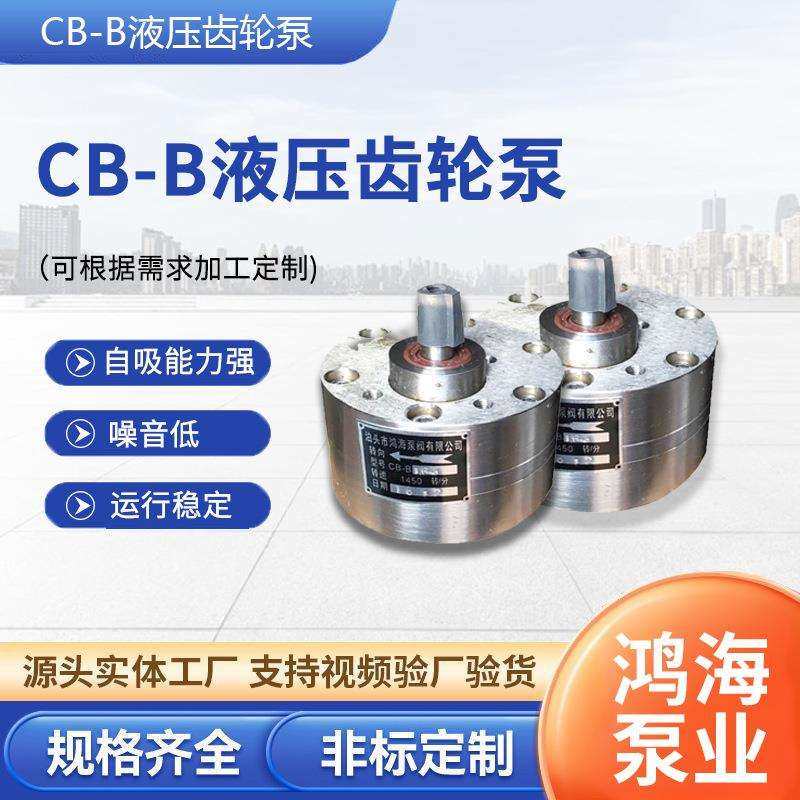 CB-B液压齿轮泵液压油泵灌胶机齿轮计量泵中低压齿轮泵双向倒灌泵