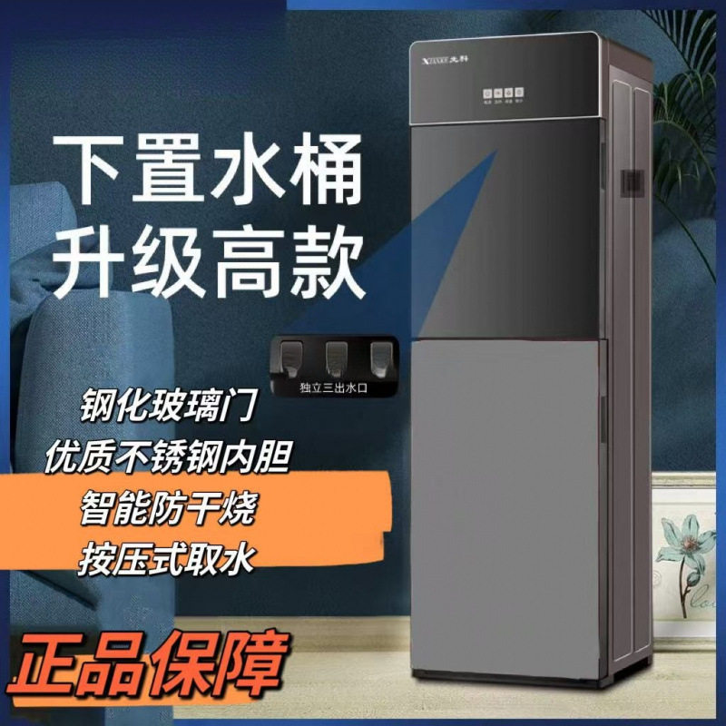 下置立式双开门制冷热饮水机