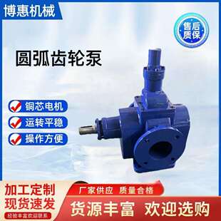 大流量抽油泵头油泵液体输送泵配件ycb6/0.6高温液压高粘度齿轮泵