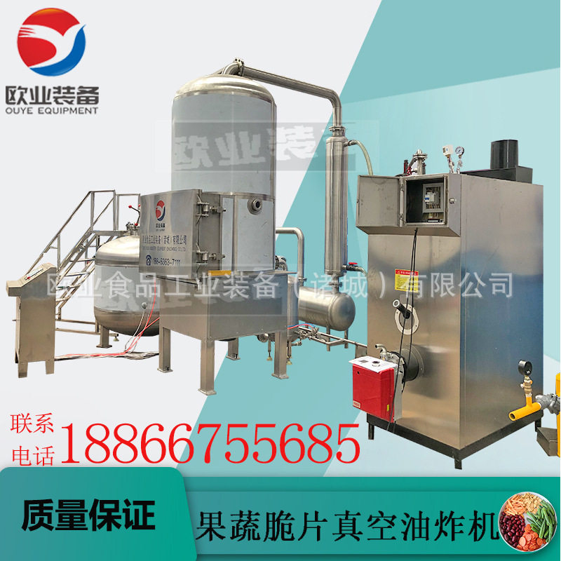油炸果蔬脆片机器低温真空油炸机小型大型都可厂家直供