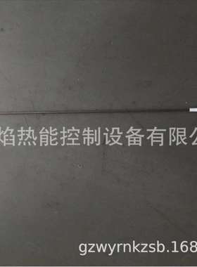 ZE-18-12-A1电极德国贝鲁BERU