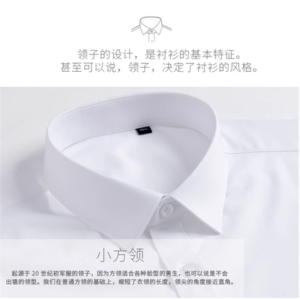 2024职业白色假领子男女通用 休闲衬衫衣领工装专用假领尖领 方领