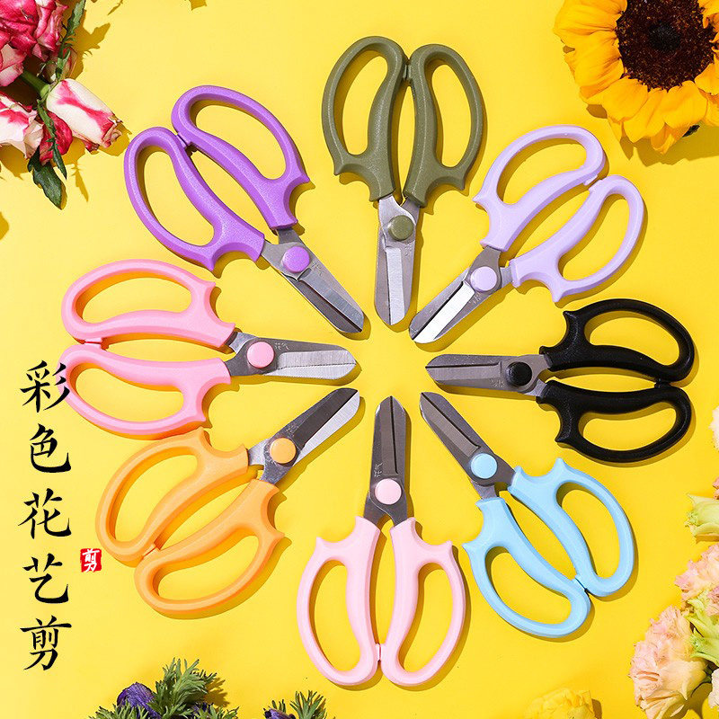 花艺剪刀日式插花艺师专用修枝剪花道园艺树枝鲜花家用不锈钢工具,鲜花速递/花卉仿真/绿植园艺,剪刀,淘宝优惠券,粉丝福利购,淘宝优惠卷