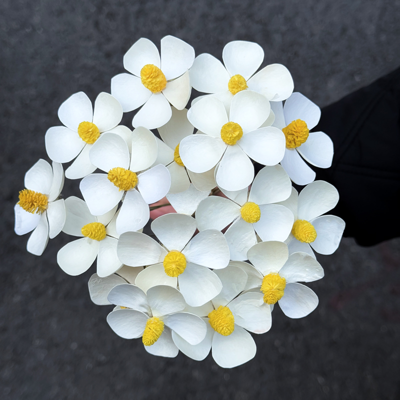 紫罗兰干花花束花店插花手工diy