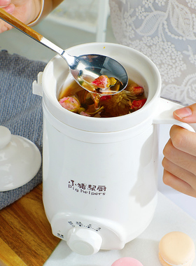 可调温度便携110电热杯白色迷你养生炖煮两用电杯