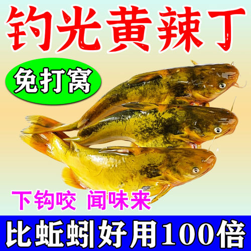 黄辣丁专用羊油颗粒饵料小药野钓黄骨鱼昂刺鱼窝高浓度爆护神器m