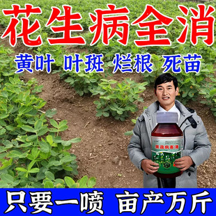 花生病专用死苗烂根叶斑枯萎根腐青枯白绢病毒锈病花生专用药