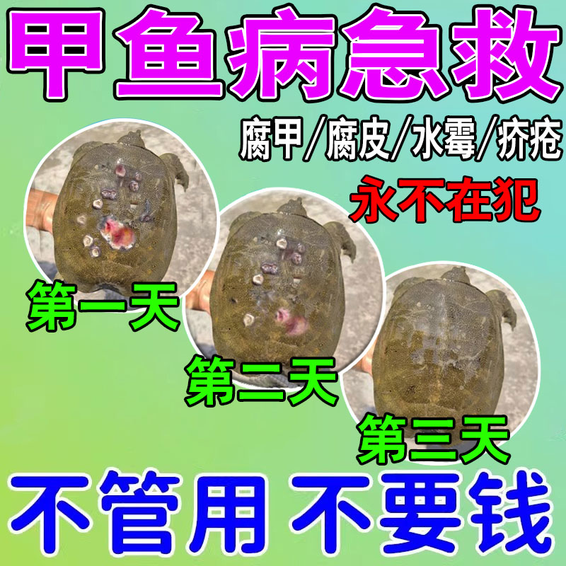 甲鱼专用药水产养殖乌龟老鳖腐皮烂甲鱼塘消毒杀菌灵水霉白斑病清