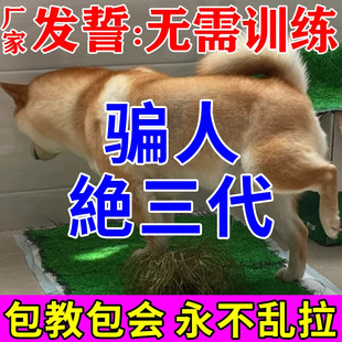 狗狗定点排便神器上厕所诱导剂狗大小便尿垫定点训练 定位