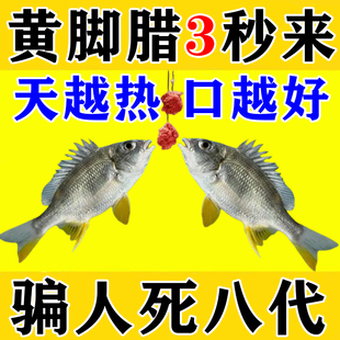 黄脚腊饵料黄鳍鲷专用海钓神器春夏季黄脚立黑鲷鱼饵窝料一包搞定