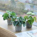 饰品 桌面绿植小盆栽仿真植物假花高级感逼真办公桌车内中控摆件装