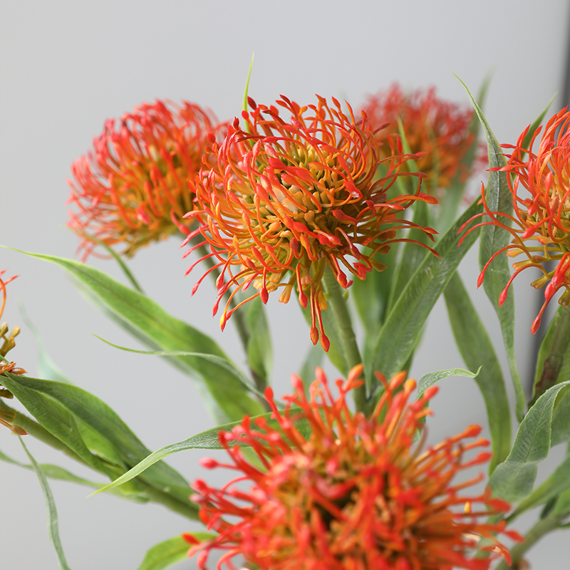 泰环长枝针垫仿真花个性小众花卉