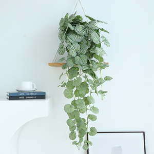 泰环 ins北欧风彷真藤蔓植物假盆栽造景客厅绿植摆件橱窗店面装饰